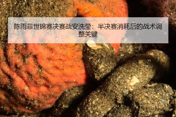 chen-yu-fei-shi-jin-sai-jue-sai-zhan-an-xi-ying-ban-jue-sai-xiao-hao-hou-de-zhan-shu-tiao-zheng-guan-jian-2-122.jpg